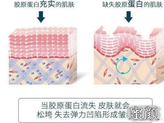 案例图片