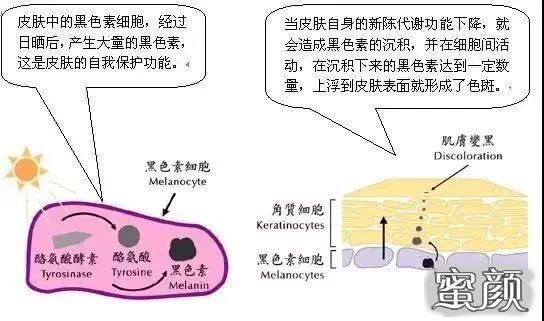 https://img.miyanlife.com/mnt/timg/200710/10505B053-2.jpg