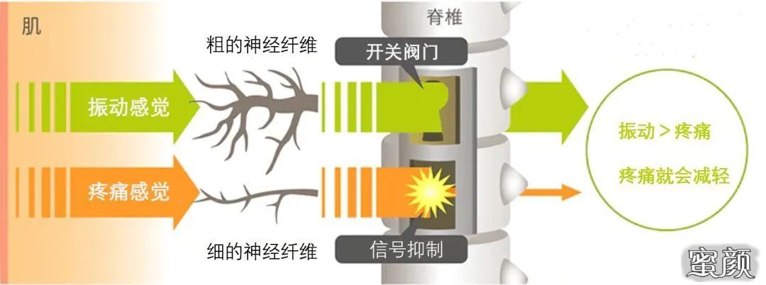 https://img.miyanlife.com/mnt/timg/200711/1136394646-14.jpg