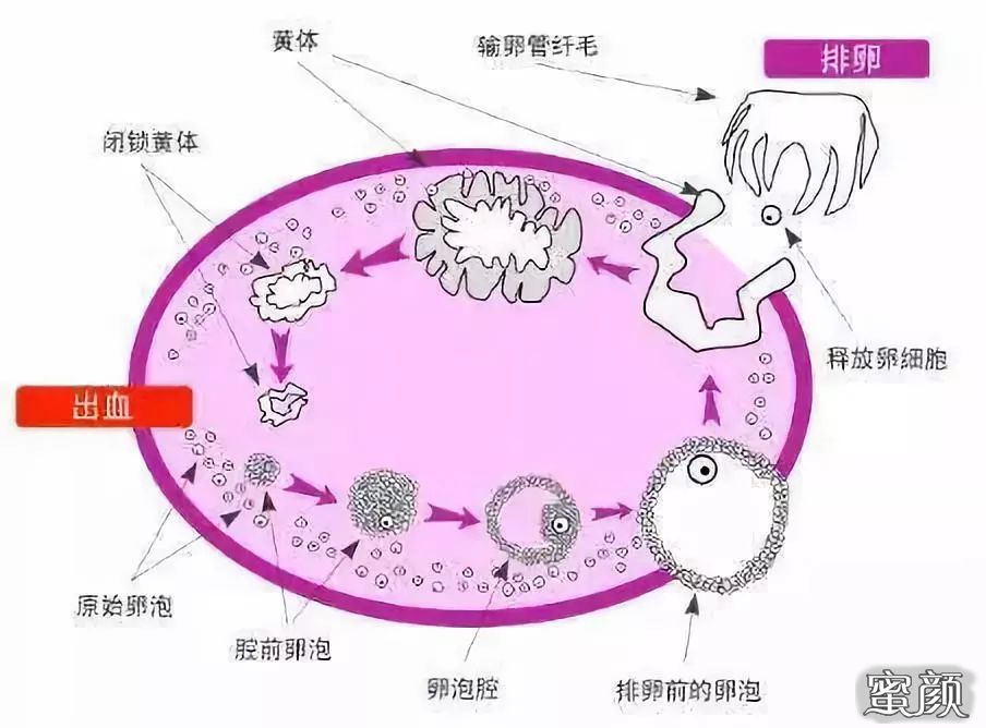 https://img.miyanlife.com/mnt/timg/200712/1045121210-0.jpg