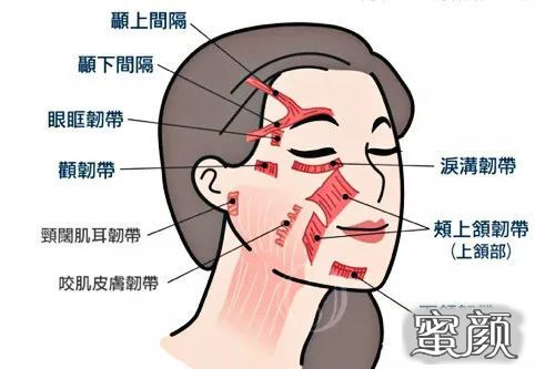 https://img.miyanlife.com/mnt/timg/200713/105451E13-5.jpg