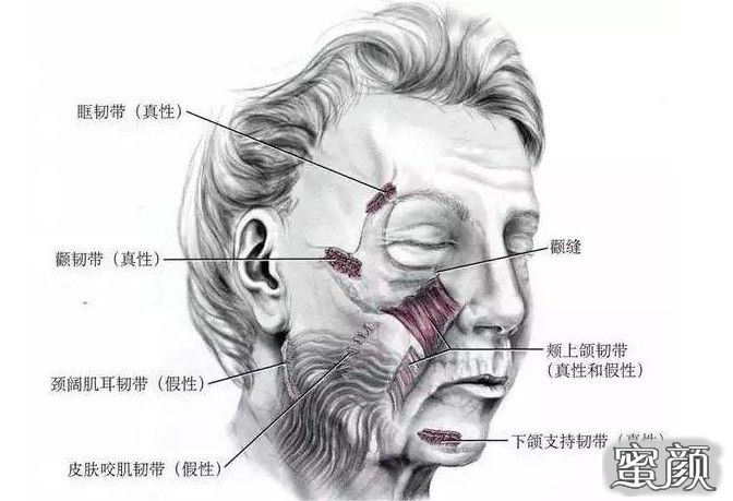 https://img.miyanlife.com/mnt/timg/200713/105451J49-4.jpg
