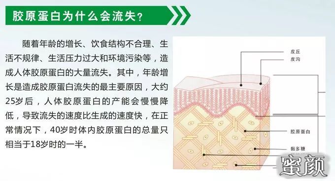 案例图片