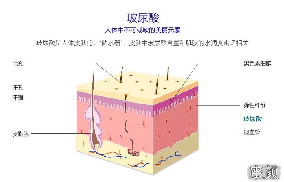 案例图片