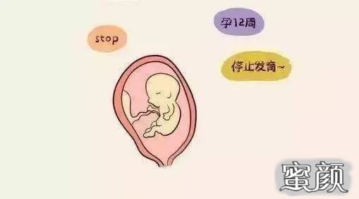 https://img.miyanlife.com/mnt/timg/200717/1242531N0-0.jpg