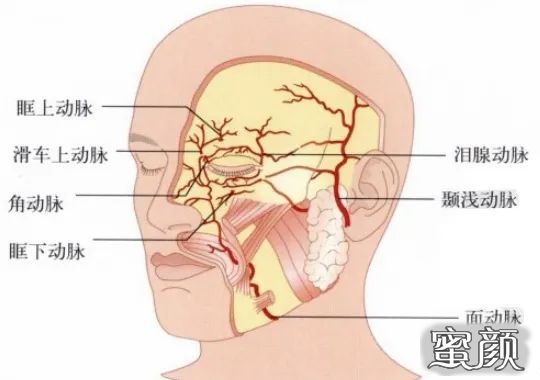 案例图片