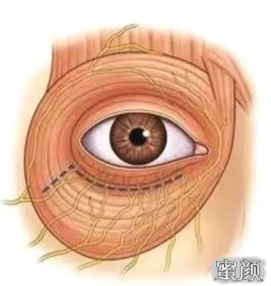 https://img.miyanlife.com/mnt/timg/200731/130204GY-11.jpg
