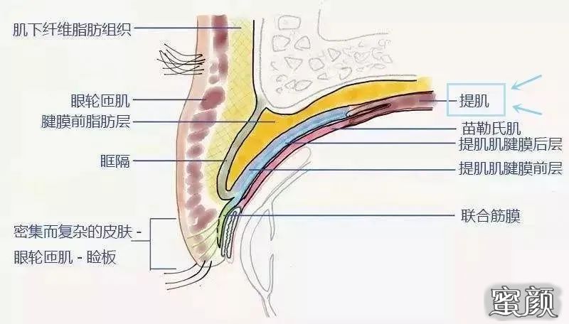 https://img.miyanlife.com/mnt/timg/200805/1215452461-4.jpg