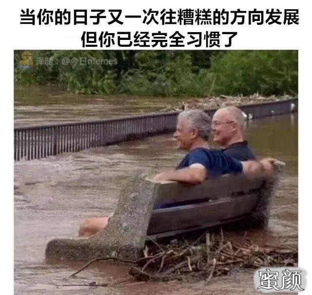 案例图片