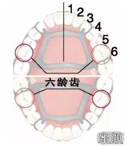 案例图片