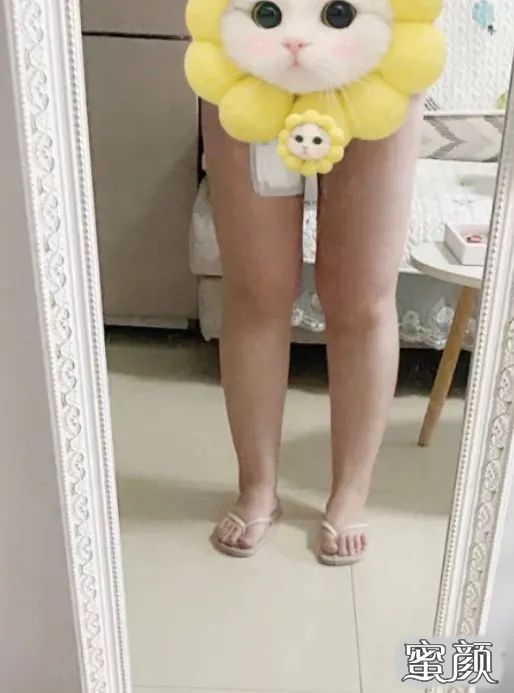 https://img.miyanlife.com/mnt/timg/200826/1243532144-6.jpg