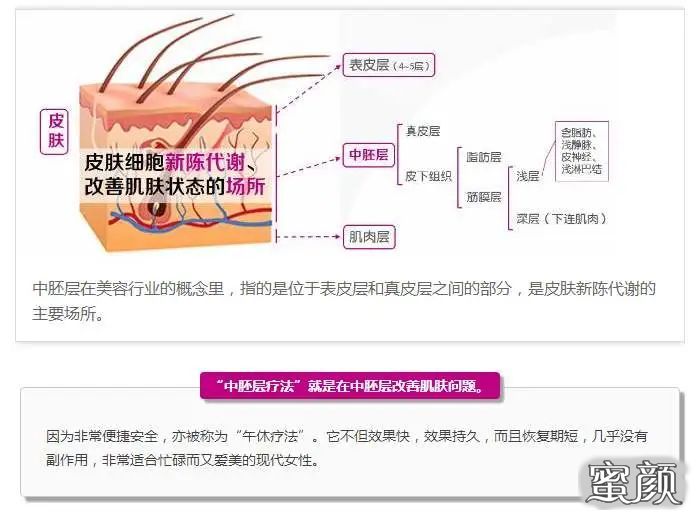 案例图片