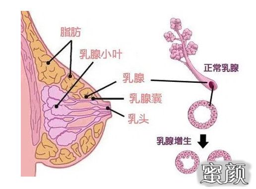 案例图片