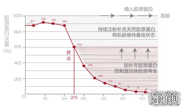 案例图片