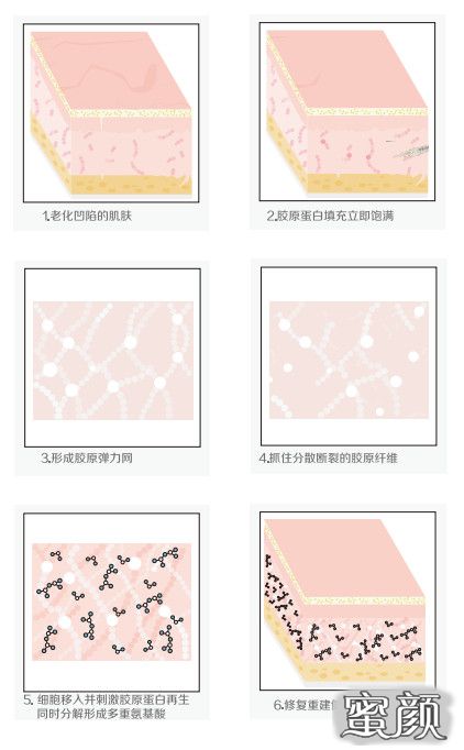 https://img.miyanlife.com/mnt/timg/201111/1PQ64310-6.jpg