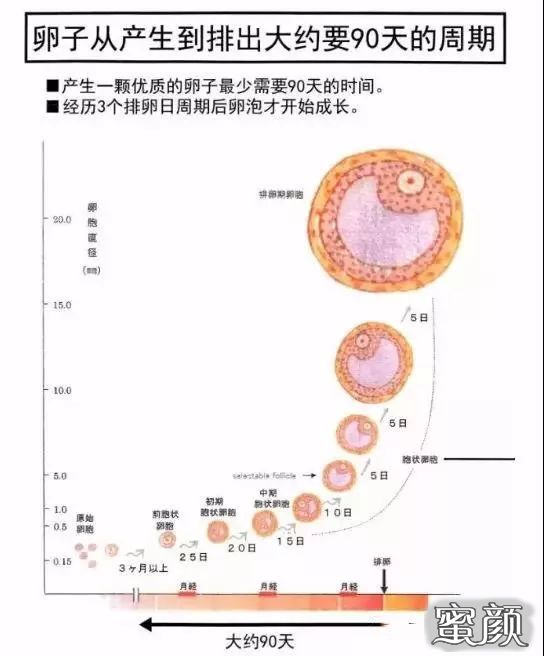 https://img.miyanlife.com/mnt/timg/201116/20545T456-6.jpg