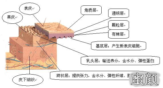 案例图片