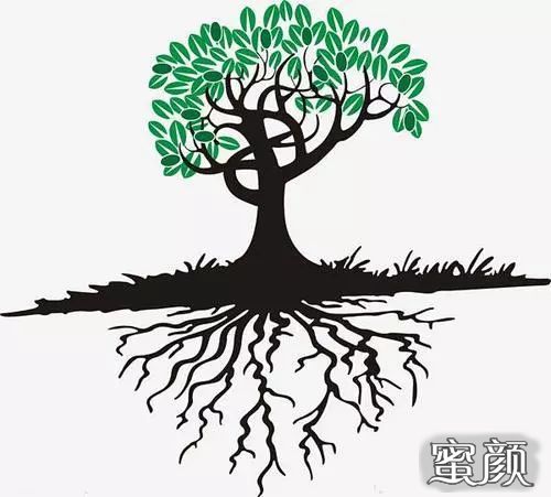 https://img.miyanlife.com/mnt/timg/201119/0H0464148-2.jpg