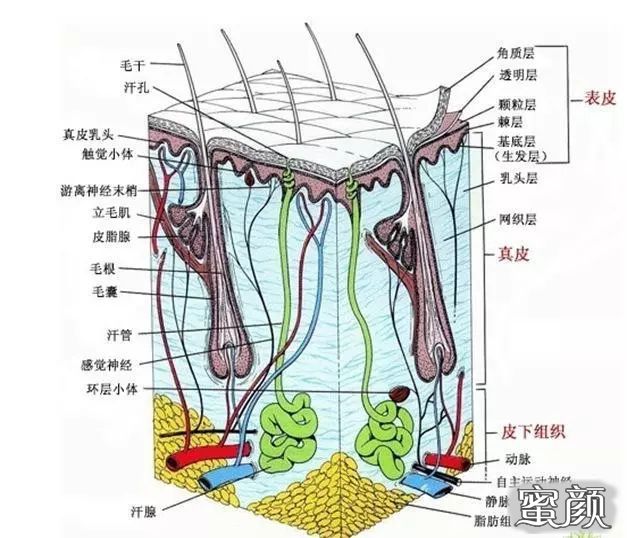 案例图片