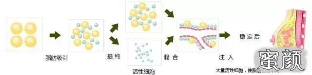 https://img.miyanlife.com/mnt/timg/201202/12401WG4-0.jpg