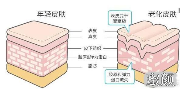 案例图片