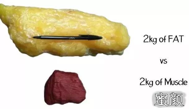 https://img.miyanlife.com/mnt/timg/201207/191RLL9-1.jpg
