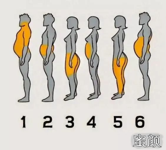 https://img.miyanlife.com/mnt/timg/201208/0I15532M-0.jpg