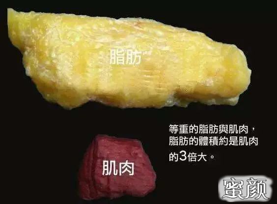 https://img.miyanlife.com/mnt/timg/201209/14341a616-3.jpg