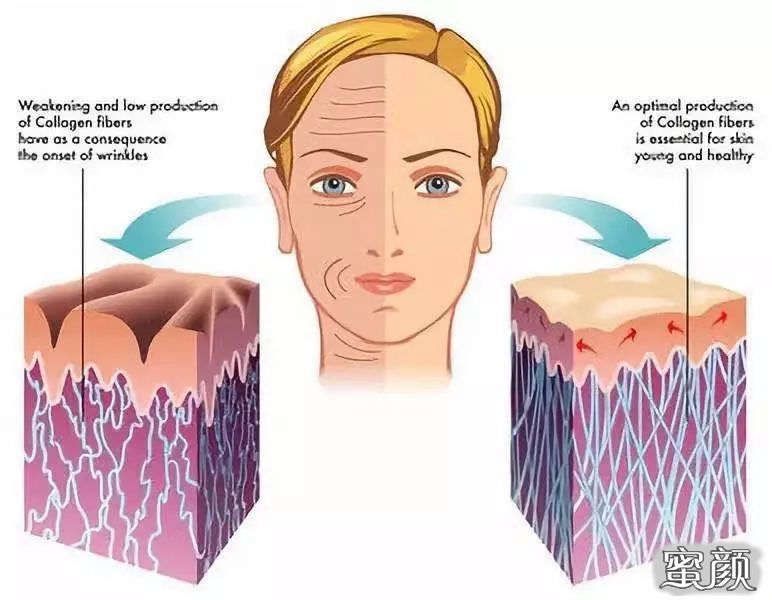 https://img.miyanlife.com/mnt/timg/201211/1050432120-4.jpg