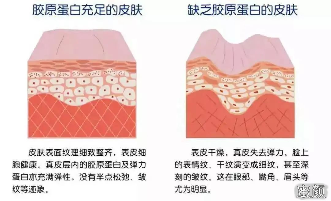 https://img.miyanlife.com/mnt/timg/201211/1J3092Z1-1.jpg