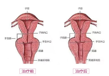 案例图片