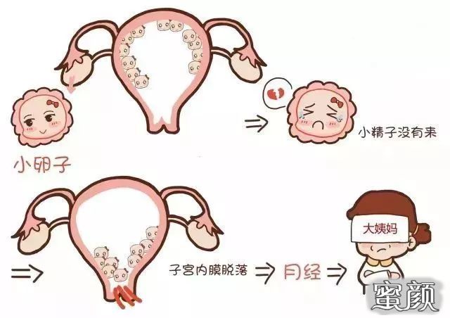 https://img.miyanlife.com/mnt/timg/201215/1I12R414-0.jpg