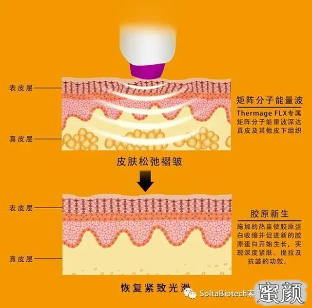 https://img.miyanlife.com/mnt/timg/201227/13423U228-0.jpg
