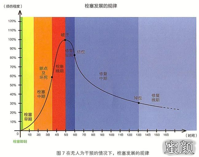 案例图片