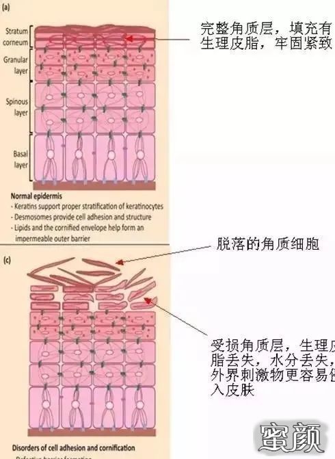 案例图片