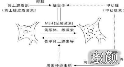 案例图片