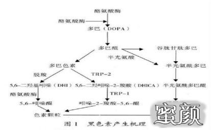 案例图片