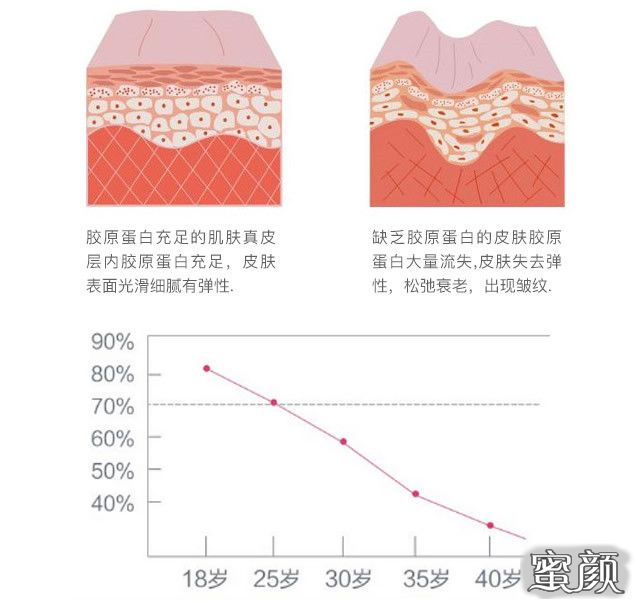 案例图片