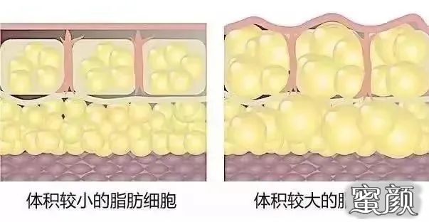 https://img.miyanlife.com/mnt/timg/210118/143AaC3-3.jpg