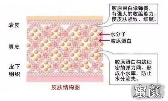 案例图片