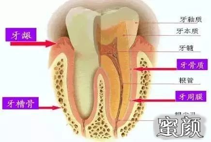 案例图片