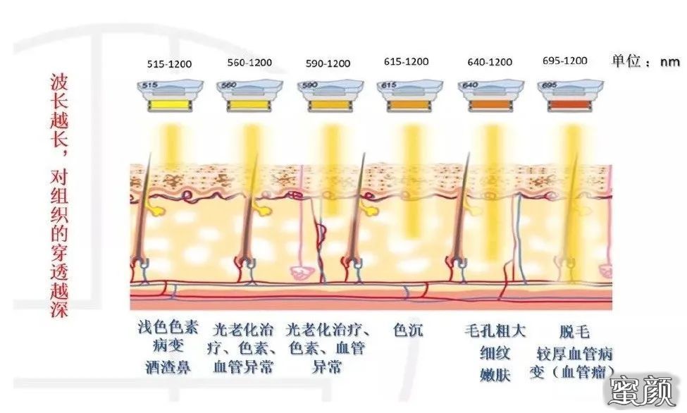 案例图片