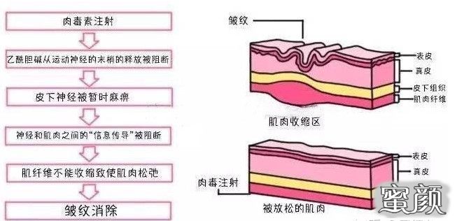 案例图片