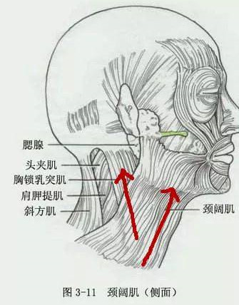 案例图片