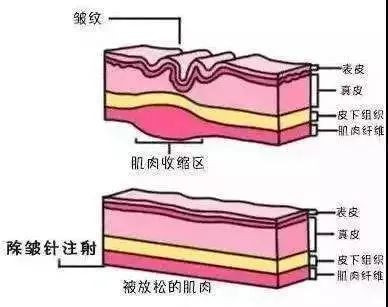 案例图片