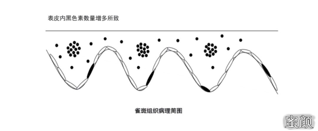 案例图片