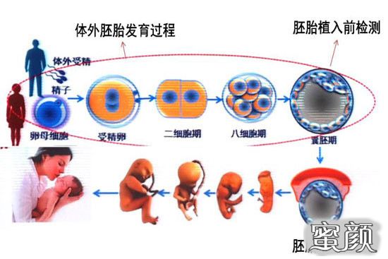 案例图片