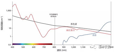 案例图片