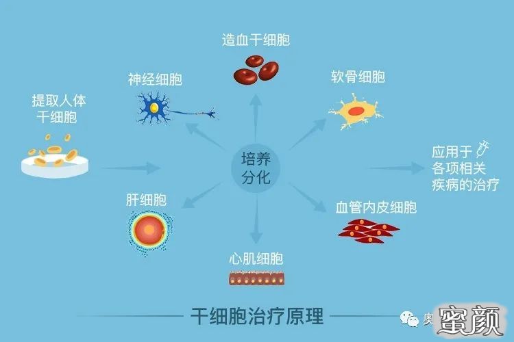 案例图片