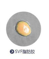 https://img.miyanlife.com/mnt/timg/210210/11345U3J-2.jpg